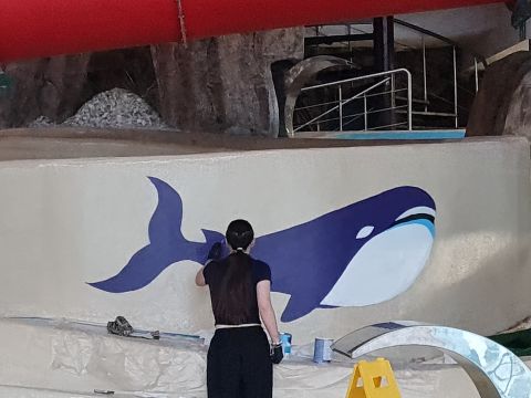 Sienu apgleznošana Ūdens piedzīvojumu parkā