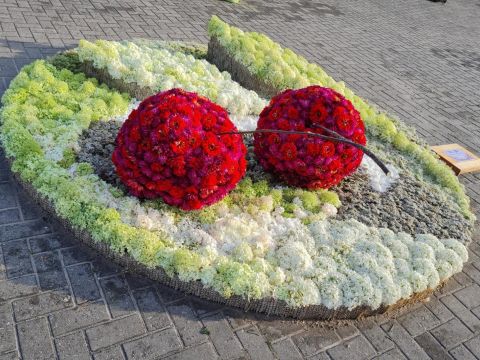 Pedagogu dalība Ventspils starptautiskajā ziedu paklāju festivālā 2022.g.